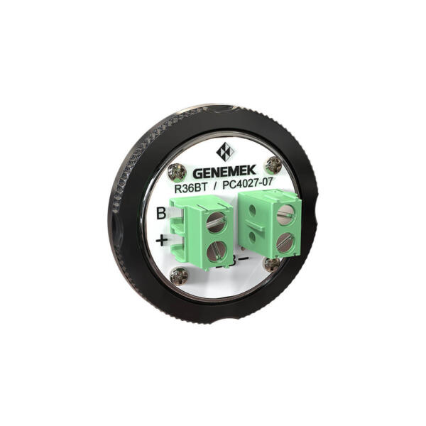 RADIAN - Image 5